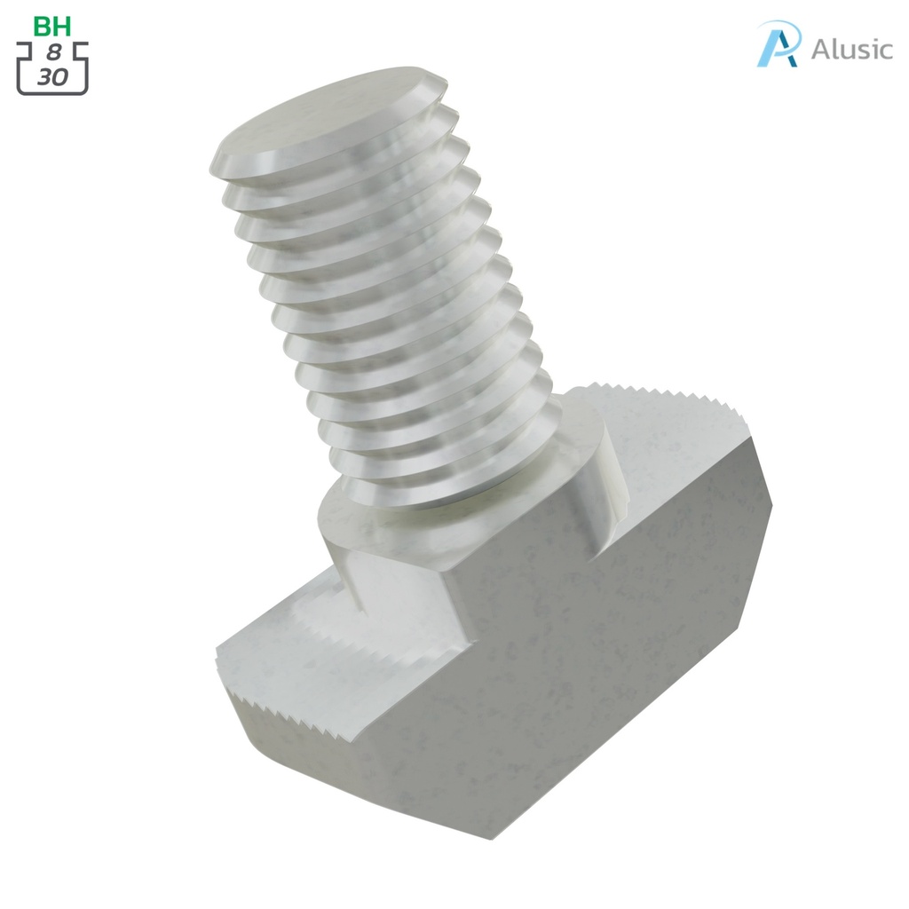 Alusic T-bolts 16x8 mm