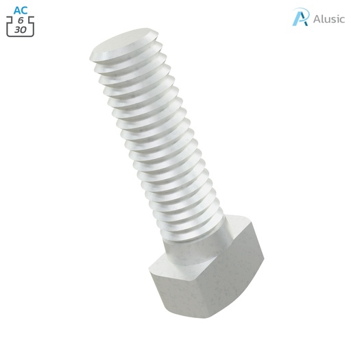 Alusic T-bolts M6