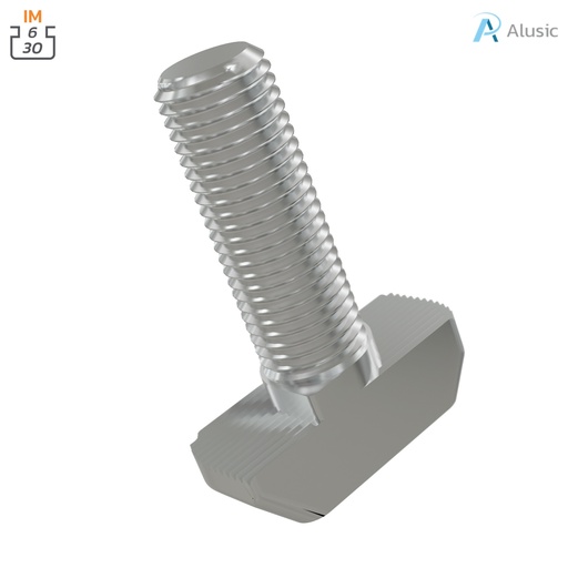 [084.301.076] Alusic T-bolts 15x6 mm